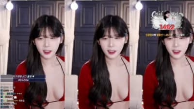 2025-04-28_03-05-54 - golaniyule0--seg1 - BJ 고라니율