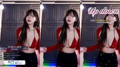 2025-04-28_03-05-54 - golaniyule0--seg2 - BJ 고라니율