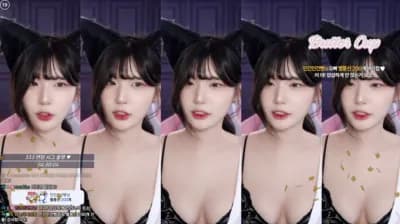 2025-04-29_03-04-11 - golaniyule0--seg2 - BJ 고라니율